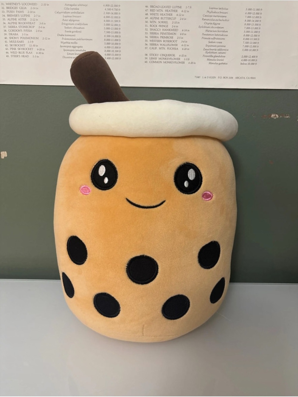 Plush Bubble Tea Decorative Pillow - Tan with Black Boba
